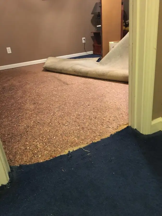 Carpet pad removal revealing water damage during Water Mitigation Services in Livonia