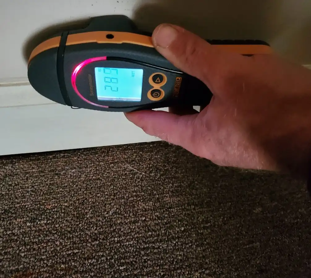 Moisture detection at baseboard during Burst Pipe Cleanup in Livonia